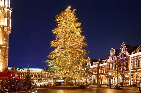【12/23(金) 博多発 日帰り】クリスマスカラーのハウステンボスへ