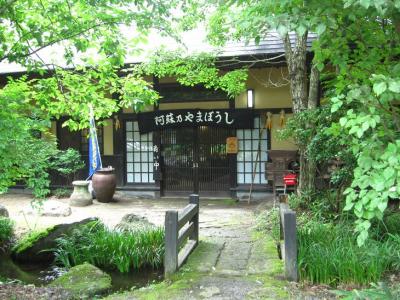 【4/7(金)博多発 日帰り】春爛漫♪一心行の大桜と阿蘇神社参拝コース