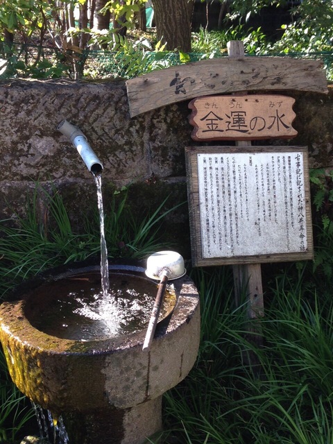 【4/7(金)博多発 日帰り】春爛漫♪一心行の大桜と阿蘇神社参拝コース